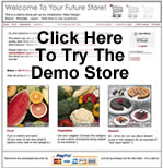 Demo Store
